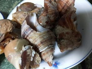 大連中山區(qū)二七廣場建材圖片,價格表,品牌大全,品牌排行榜 大連建材